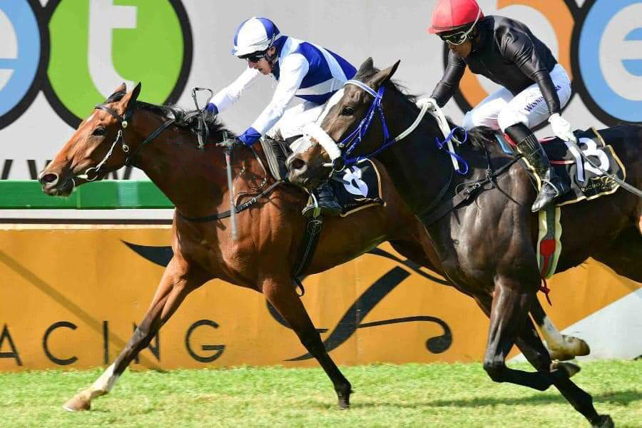 Riethuiskraal-Stud-Farm-Vistula